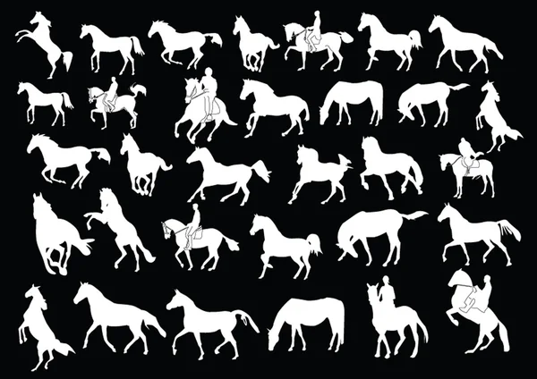 Horses collection — Stock Vector