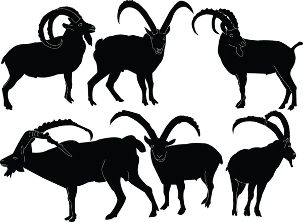 Colección Ibex — Archivo Imágenes Vectoriales