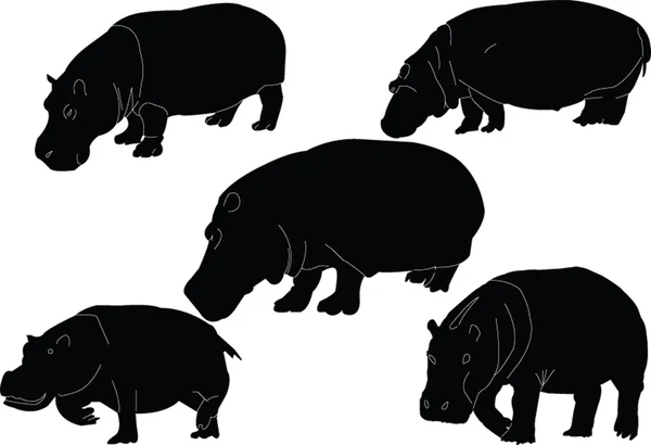 Coleção de hipopótamos — Vetor de Stock