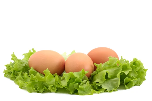 Ovos com alface — Fotografia de Stock