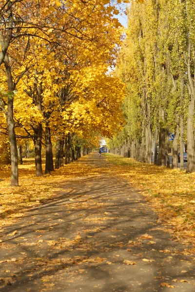 Městská ulice na podzim — Stock fotografie