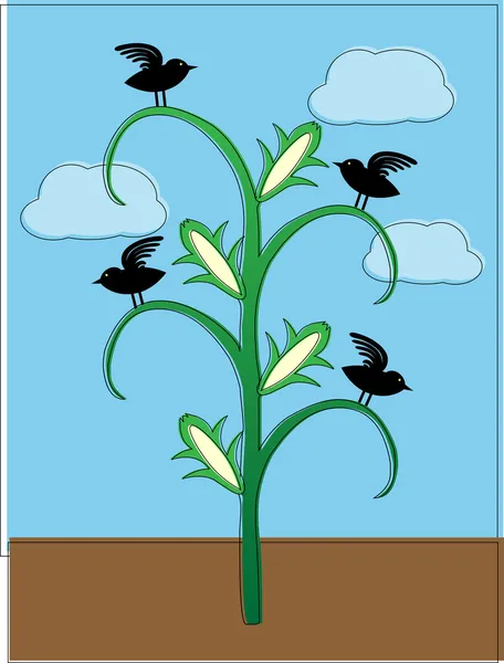 Crows sitting on cornstalk abstract offset coloring — Stock Vector