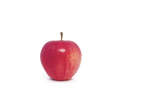 Manzana roja única — Foto de Stock