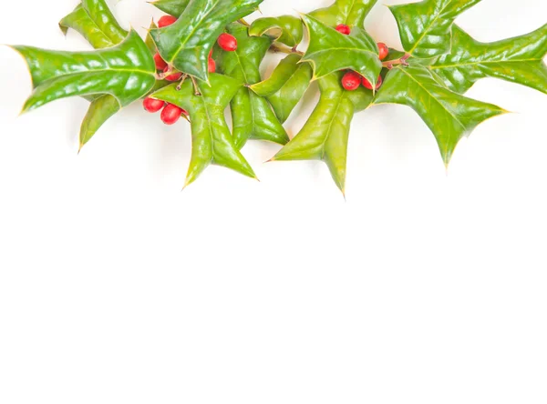 Boże Narodzenie zielony ramy z holly berry na białym tle — Zdjęcie stockowe