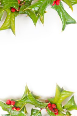 Christmas green framework with holly berry isolated clipart