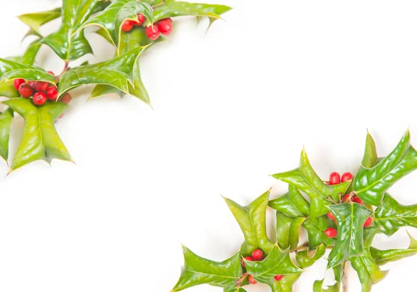 Рождественский зеленый каркас с ягодами — стоковое фото