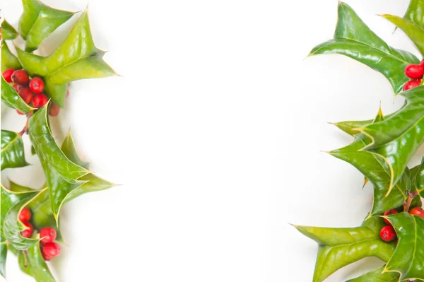 Natal quadro verde com baga azevinho isolado Imagens Royalty-Free