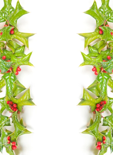 Jul grön ram med holly berry isolerade — Stockfoto