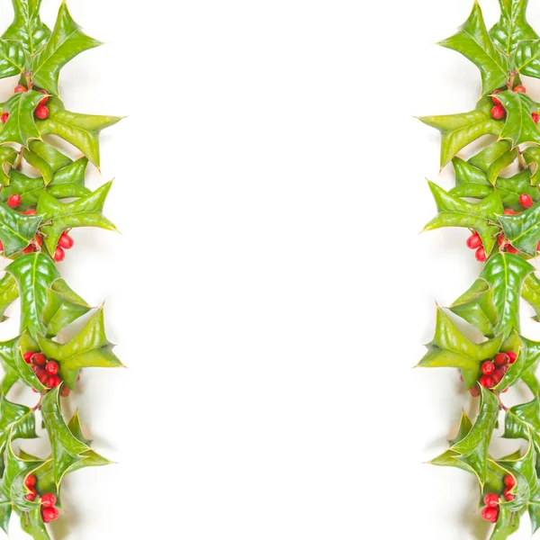 Boże Narodzenie zielony ramy z holly berry na białym tle — Zdjęcie stockowe