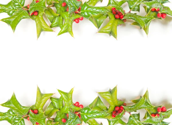 Рождественский зеленый каркас с ягодами — стоковое фото