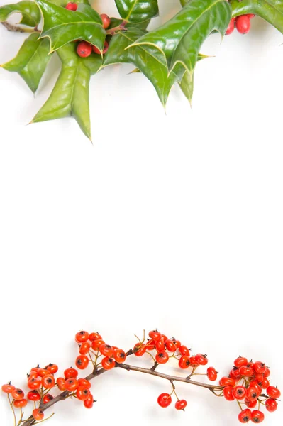 Kerstmis kader met holly berry geïsoleerd — Stockfoto