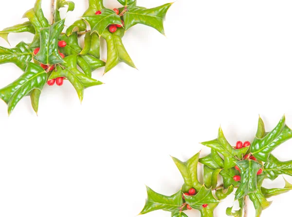 Boże Narodzenie ramy z holly berry na białym tle — Zdjęcie stockowe