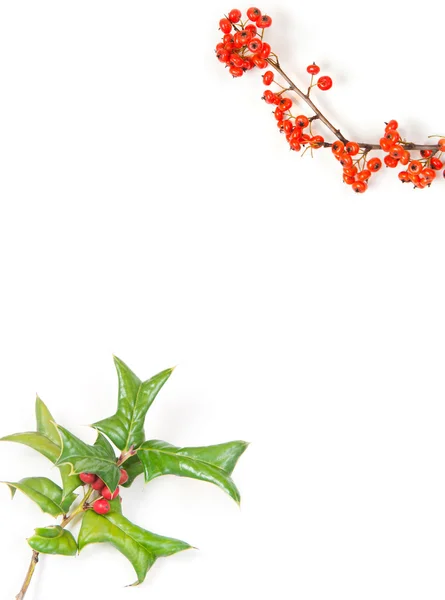 Boże Narodzenie ramy z holly berry na białym tle — Zdjęcie stockowe