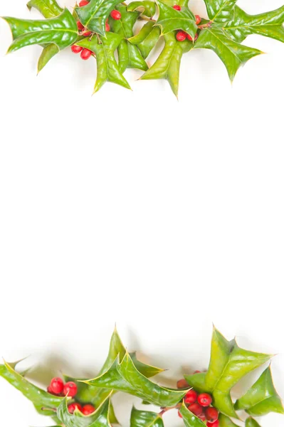 Marco de Navidad con baya de acebo aislado — Foto de Stock