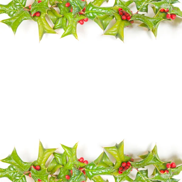 Holly berry elszigetelt karácsonyi zöld kerettel Jogdíjmentes Stock Fotók