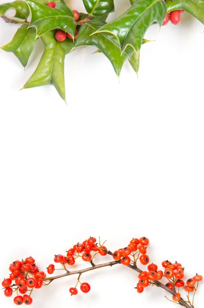 Vánoční rámec s holly berry, samostatný Royalty Free Stock Obrázky