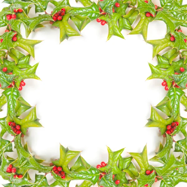 Jul grön ram med holly berry isolerade Royaltyfria Stockbilder
