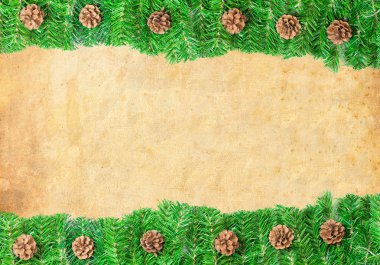 Christmas green framework with Pine needles and cones on paper clipart