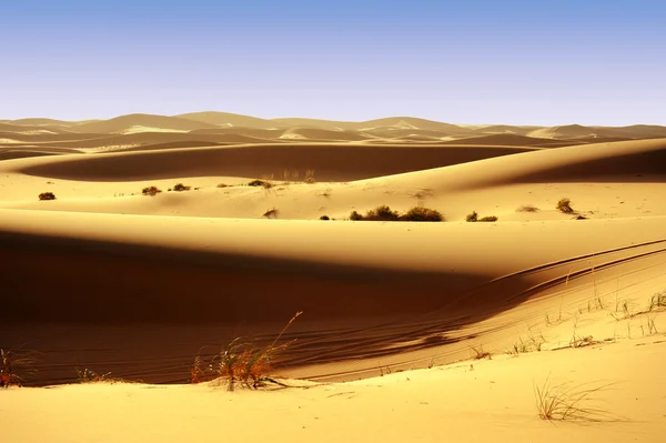 Marokkói sivatagos dűne — Stock Fotó