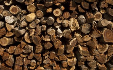 Pile of wood logs ready for winter - landscape exterior clipart