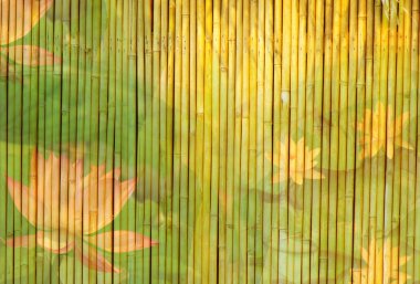 ışık altın bambu arka plan