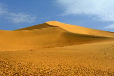 çöl dune