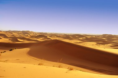 çöl dune