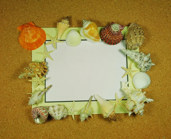 stock image Starfish and shells with frame on the beach, vacation memories