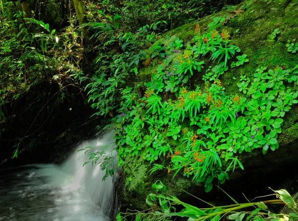 Waterfall is beautiful — Stock Photo, Image