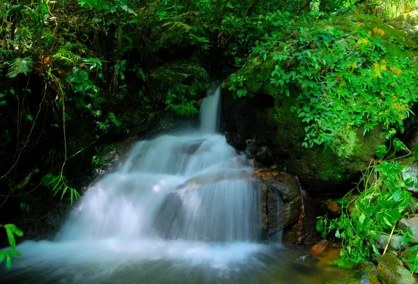 La cascada es hermosa — Foto de Stock