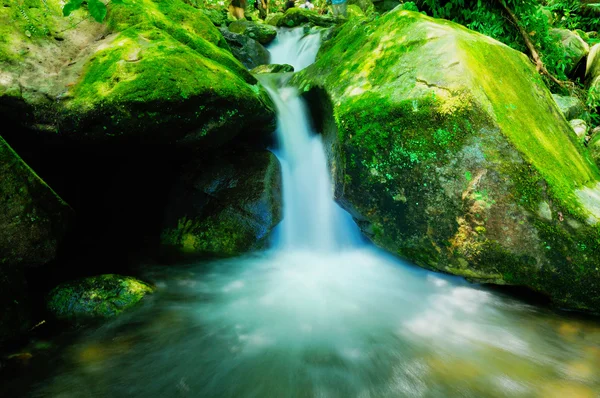 Cachoeira é linda — Fotografia de Stock