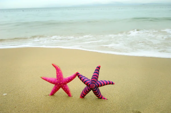 Dwa rozgwiazda siedzi na plaży — Zdjęcie stockowe
