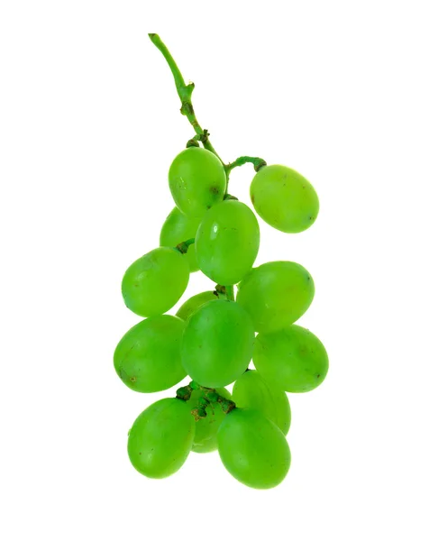Гроздь белого винограда — стоковое фото