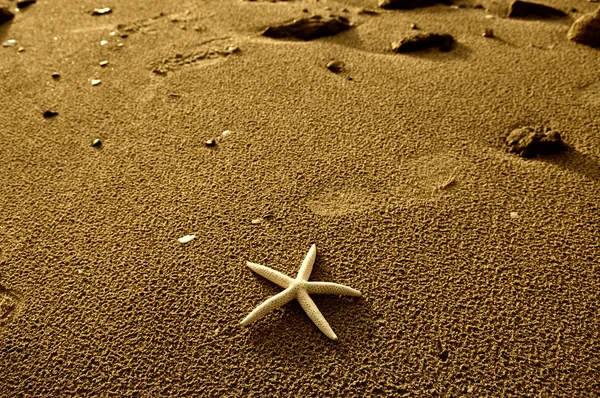 Starfish met frame op het strand, vakantie herinneringen — Stockfoto