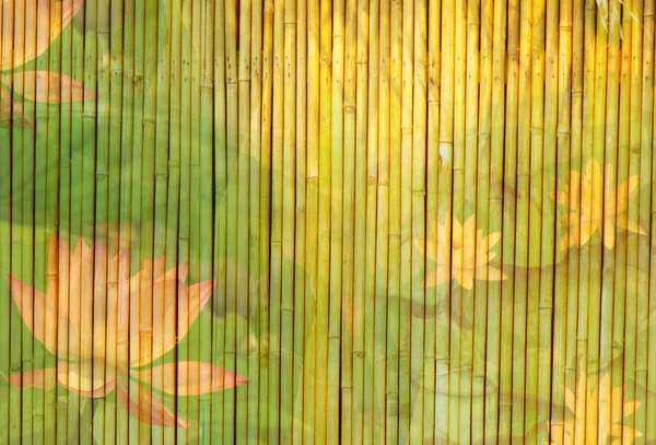 Fondo de bambú dorado claro —  Fotos de Stock
