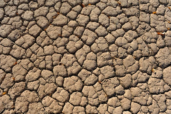 Koncepce globálního oteplování popraskané půdy — Stock fotografie