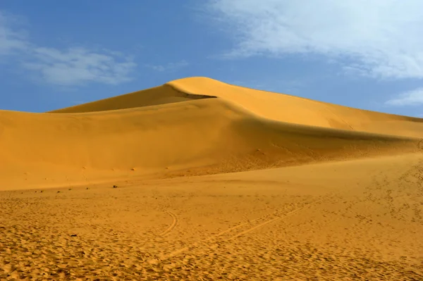 Deșert dune — Fotografie, imagine de stoc