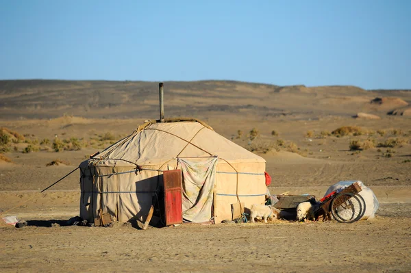 Iurte da Mongólia — Fotografia de Stock