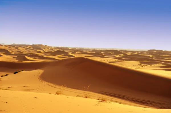 사막 모래 언덕 — 스톡 사진