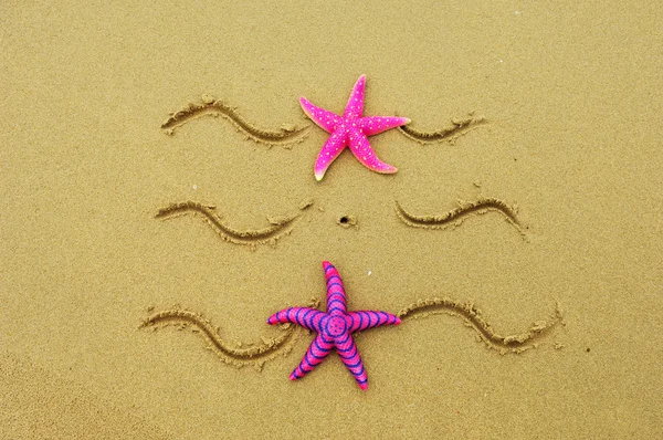 Sea frame with starfishes — Stock Photo, Image