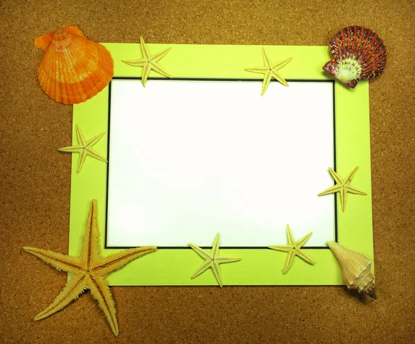 Havet ram med starfishes — Stockfoto