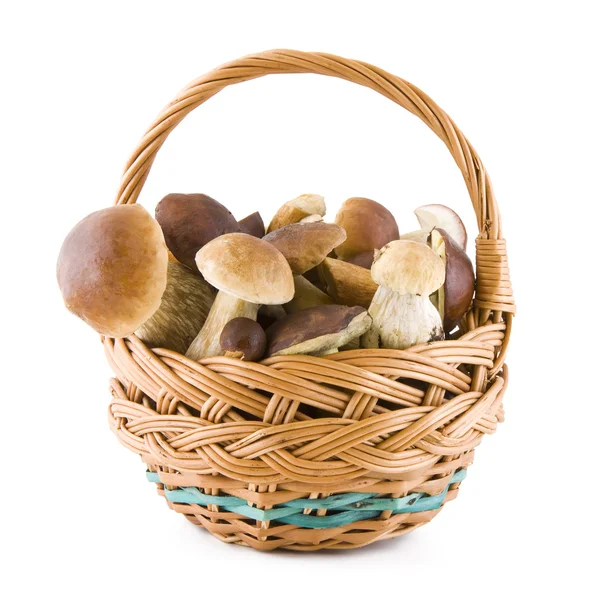 Mushrooms in a basket — Stock Photo, Image