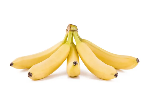 5 바나나의 무리 — 스톡 사진