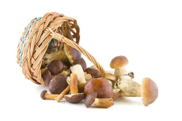 Mushrooms and a basket — Stock Photo, Image