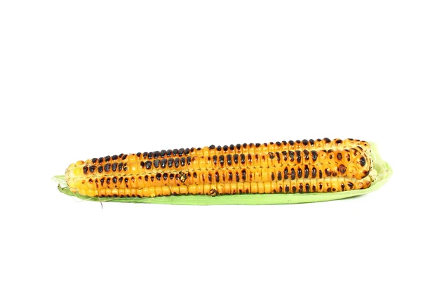 Mazorca de maíz a la plancha — Foto de Stock