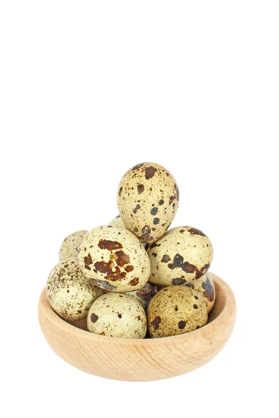 Eggs of japanese quail — Stock Photo, Image