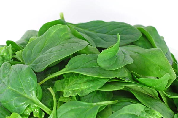 Bunch of spinach — Stock Photo, Image