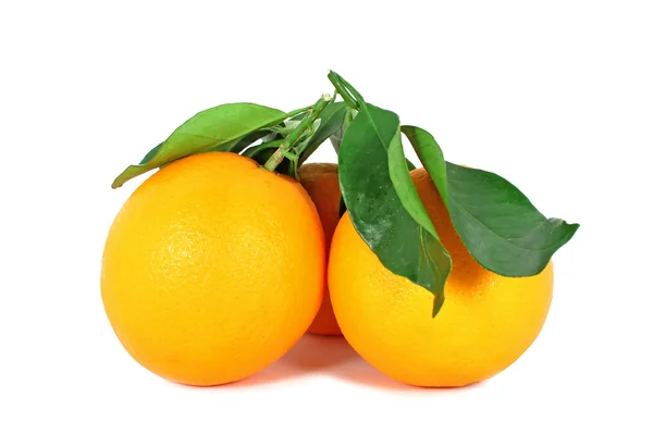 Δύο ώριμα πορτοκάλια — Φωτογραφία Αρχείου