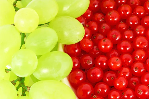 Winogrona i porzeczki — Zdjęcie stockowe