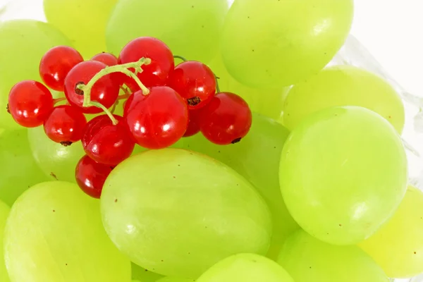 Verse Rijpe Druiven Krenten Rode Groene Combinatie — Stockfoto